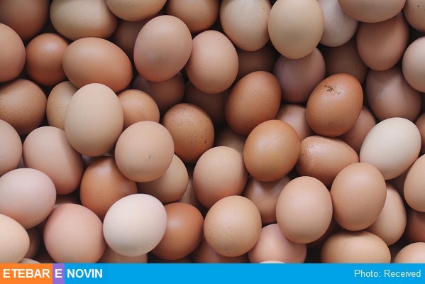 بهترین راهکار برای پیشگیری از آلرژی به تخم مرغ 12 تخم مرغ