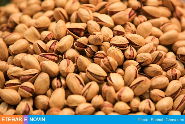 ظرفیت ها و چالش های کشاورزی در کرمان