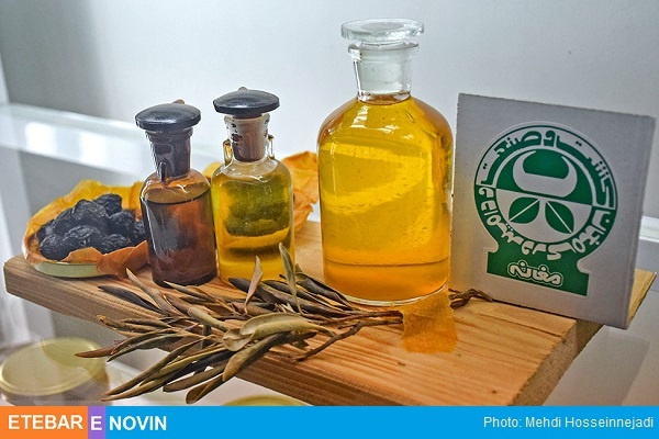 اولویت استاندار جدید در اردبیل؛ حمایت از کارآفرینان خصوصی یا حامیان دولت 4 کشت و صنعت مغان